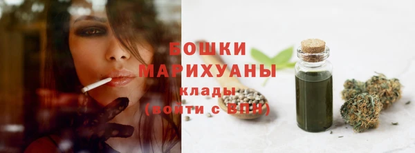 ПСИЛОЦИБИНОВЫЕ ГРИБЫ Верея