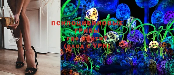 PSILOCYBIN Тобольск