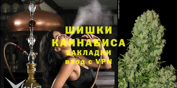 ПСИЛОЦИБИНОВЫЕ ГРИБЫ Верея