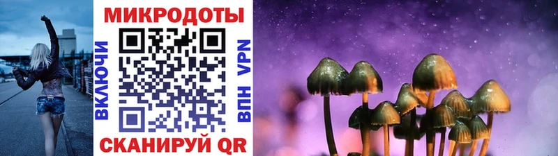 Галлюциногенные грибы Psilocybe  даркнет клад  Знаменск  цена наркотик 