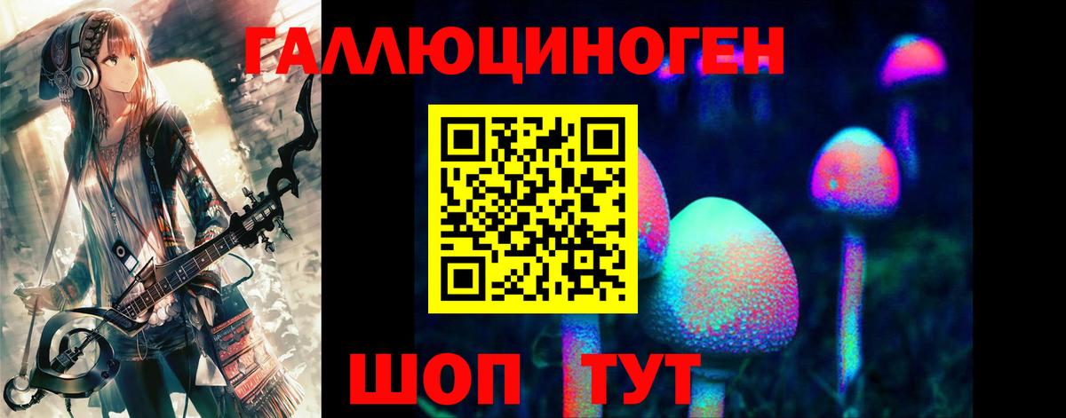 Галлюциногенные грибы Cubensis Знаменск